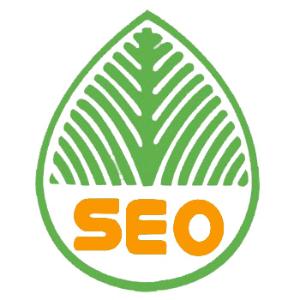 江门提升网站移动适配的注意事项